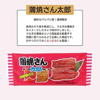 蒲焼さん太郎 菓道 蒲焼さん太郎×60枚 （送料・ケース代込み） : HAKOMARU